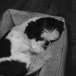 Meet your Posher, Katelyn